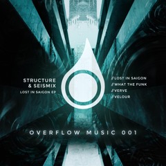 PREMIERE: Structure & Seismix - What The Funk (Overflow Music)
