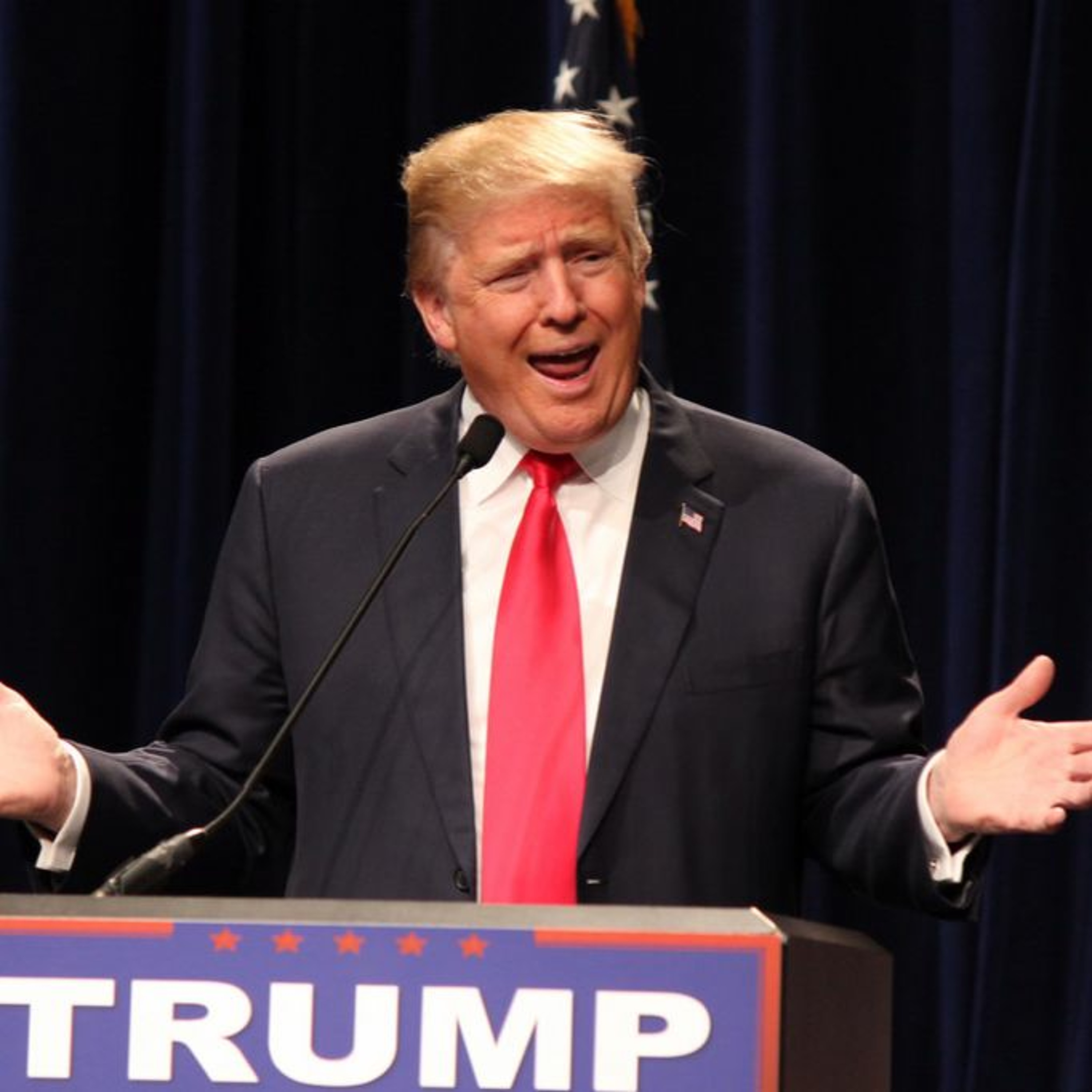Donald Trump and Jacob Zuma talks on the phone episode artwork