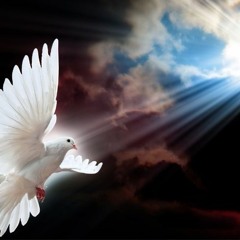 White Dove- ( Cover)- Ginny McJunkin & SusiSoulJourney