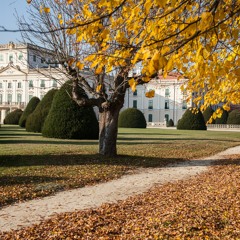 Canon in C Major (1) | Baroque Music, Counterpoint, Renaissance, Classical Music