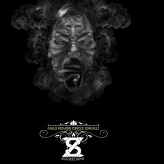 07-EL PLAN PAULOSTIRO-TOREC-COTACOCHI