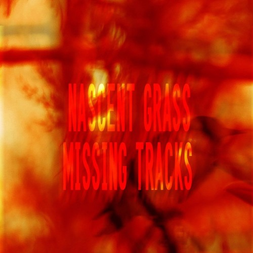 Missing