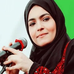 بغداد ميس شلش