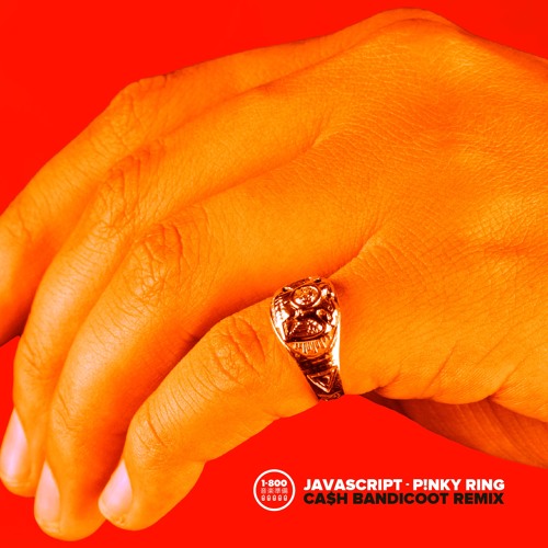 JAVASCRIPT - P!nky Ring (Ca$h Bandicoot Remix)