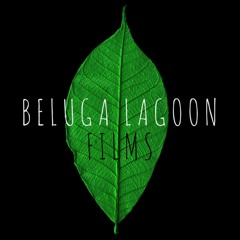 Folk/Electronica; Beluga Lagoon - Cold Bone River