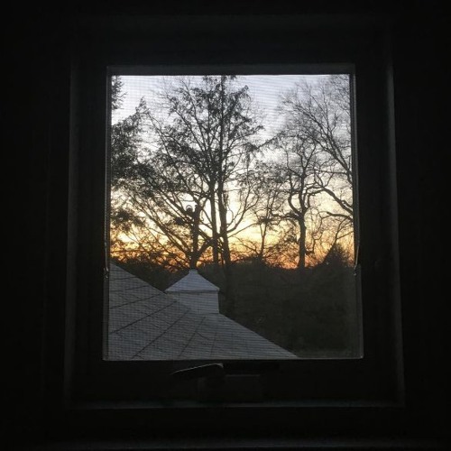 roses and riots - lizzy mcalpine (original)