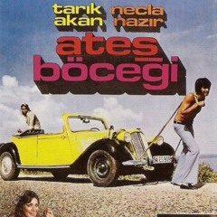 Ateş böceğim misin