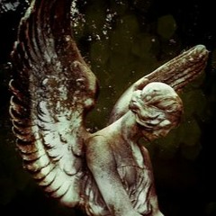 Hatch Vega - The Gift