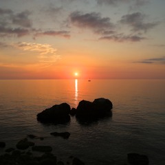 YenZo (Wild Life) live recording MM 2016