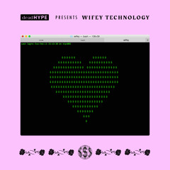 Wifey Technology