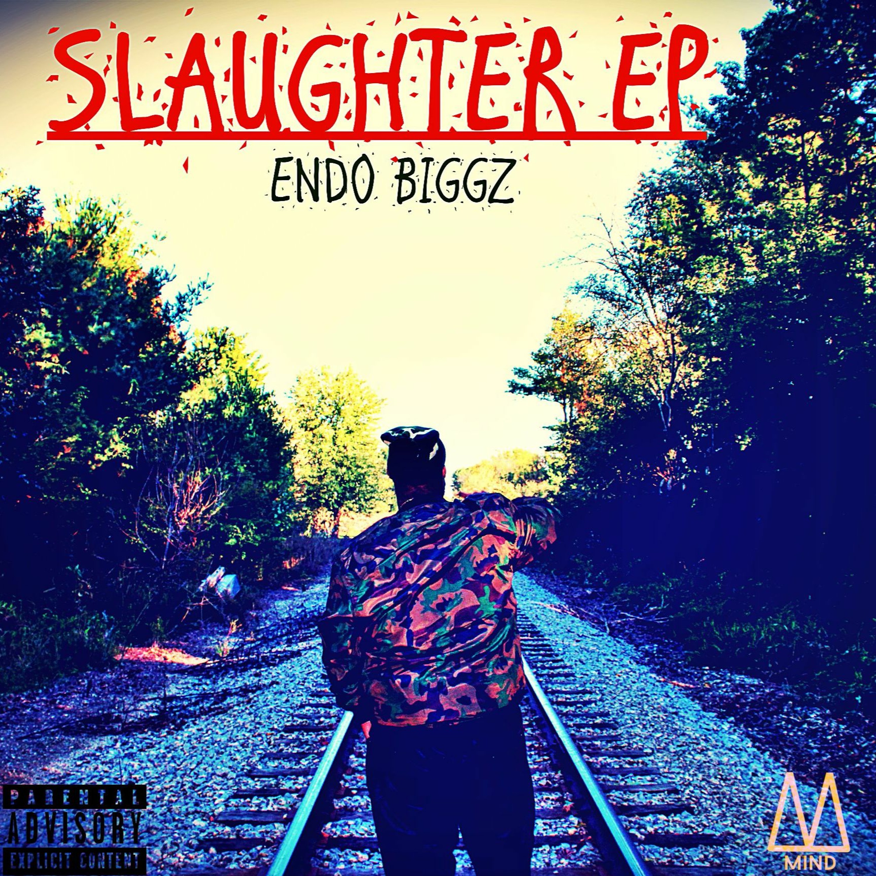 Endo Biggz