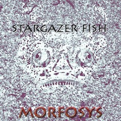 STARGAZER FISH - MORFOSYS