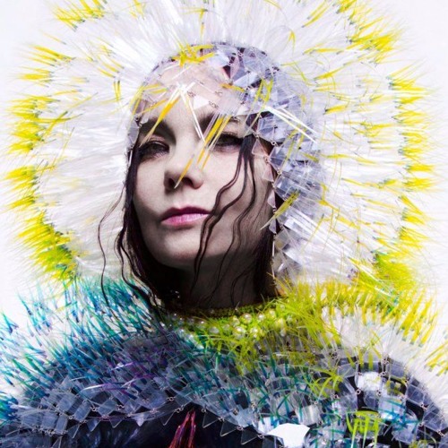 Bjork - Hunter