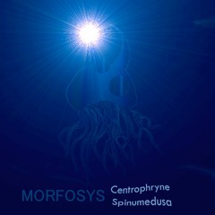 Centrophryne Spinumedusa EP - Morfosys - 2017