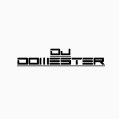 Hip Hop Party Mix (Clean) - Dj Domester