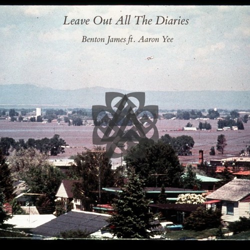 Leave Out All The Diaries