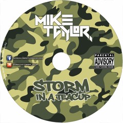 Mike Taylor - Storm In A Teacup Mix