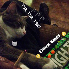 Tsk Tsk TSK! (SKRRT SKRRT SKRRT Instrumental)
