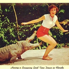 FAWM 2017 #7 "Gator Don't Play"