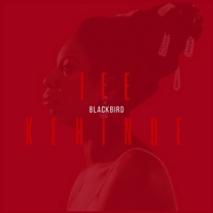 Blackbird - Ife Kehinde Cover