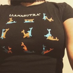 Llamasutra's House  13/2/17 22:48