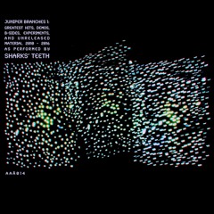 Sharks' Teeth - She's Programming