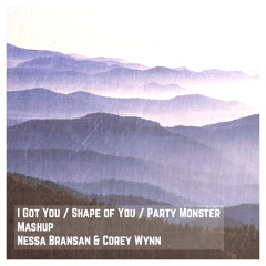 I Got You MASHUP - Nessa Bransan & Corey Wynn
