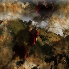 Asleep With The Chickens