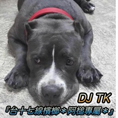 《DJ TK》•『台十七線檳榔＊啊槌專屬＊』•60分鐘台語連續客製