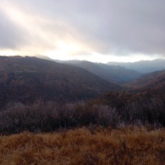 MutatedOneTakes: Radical Face: The Mute (Cover)