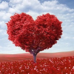 5.Fifty 50 Ft. WhoTFishe