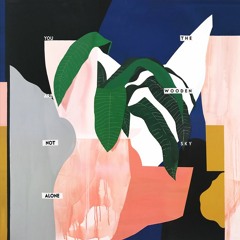 The Wooden Sky - You're Not Alone