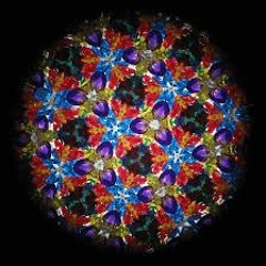 Kaleidoscope V.1