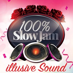 Illusive Sound - 100% Slow JAm