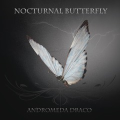 Nocturnal Butterfly