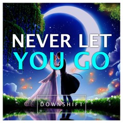 Downshift - Never Let You Go