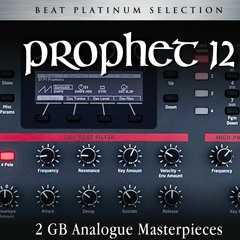 PROPHET-12 sound bank for Zampler//RX