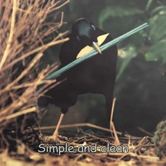 Ron - Simple and Smash