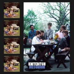 MeatballHoagieInTheRain - KNITEBITCH