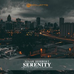 Sjaak Herbert - Serenity (Steve Banning Remix)