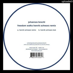 Johannes Brecht - Freedom Walks (Henrik Schwarz Remix)