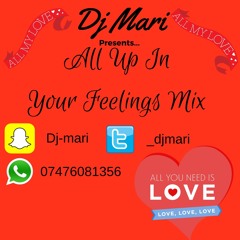Dj Mari All Up In Your Feelings Mix|@_djmari