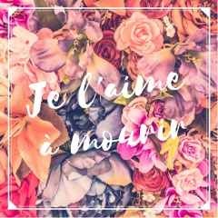 Je l'aime à Mourir - Francis Cabrel (cover by Salut Vous)