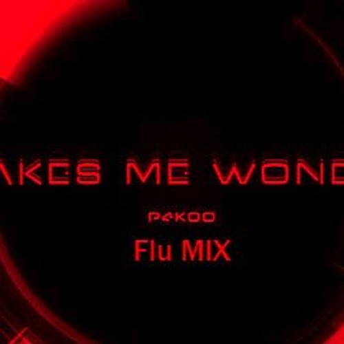 P4koo - Makes Me Wonder(Flu Mix)