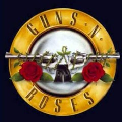 Guns N'Roses- Knocking on Heavens Door ( My accoustic version )