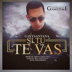 Si Tu Te Vas