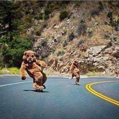 Roadies