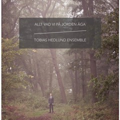 Allt vad vi på jorden äga - demo