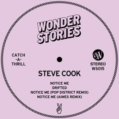 Steve Cook - Notice Me (Pop District Remix)