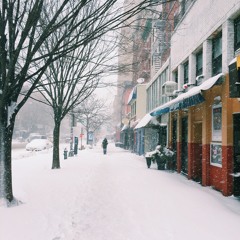 What They Mean - Donovan Woods